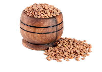 Источник микроэлементов