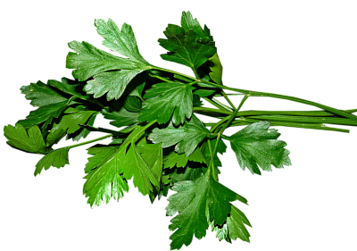 Источник микроэлементов