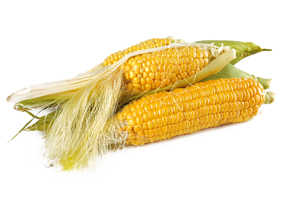 Источник микроэлементов