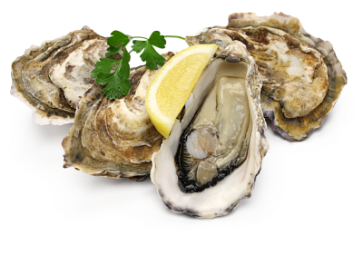 Источник микроэлементов