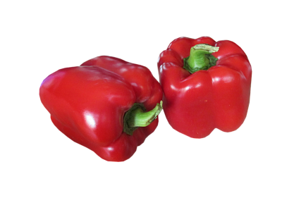 Источник микроэлементов