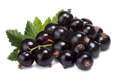 Источник микроэлементов